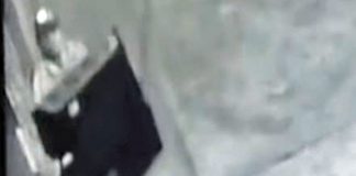 Delincuentes se llevan todo de pollería