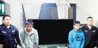 Robaron televisor para ver el partido de Perú