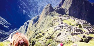 Machu Picchu