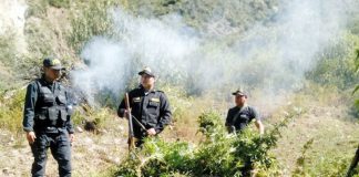 Valle de los ríos Apurímac, Ene y Mantaro