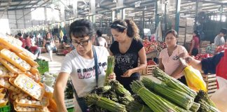 Gran Mercado Mayorista de Lima