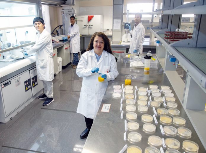 Nancy Chasquibol Silva