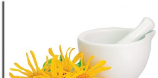 Conoce los beneficios del té de árnica Té de árnica