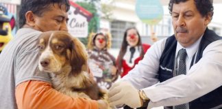 Vacuna perros