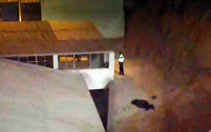Hombre murió tras caer de cerro de Manchay