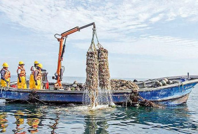 Pescadores