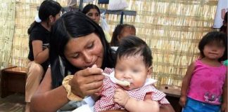Alimentación infantil
