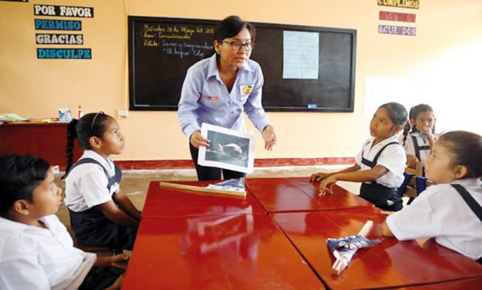 Docentes Docentes