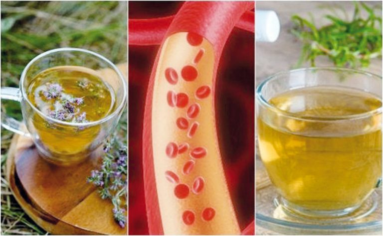 Infusiones herbales