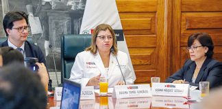 Ministra de Salud, Zulema Tomás