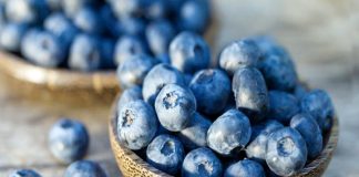 Perú sería el principal proveedor mundial de arándanos Arándanos