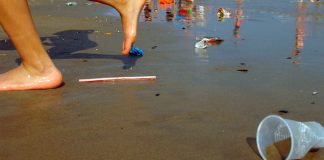 Cañitas de plastico