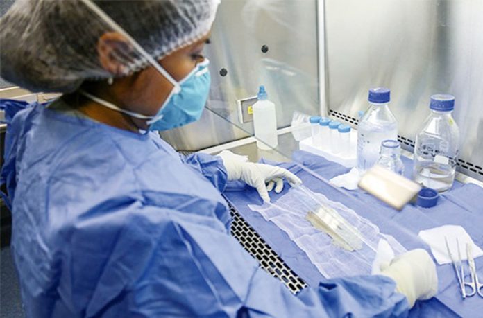 Implantes quirúrgico de piel