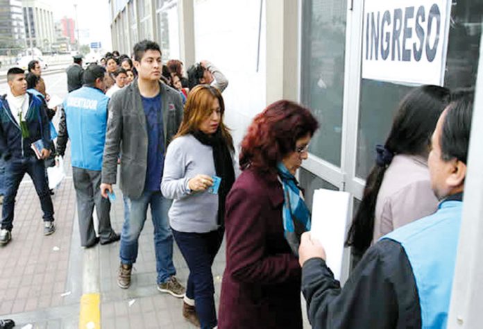 Profesores Profesores