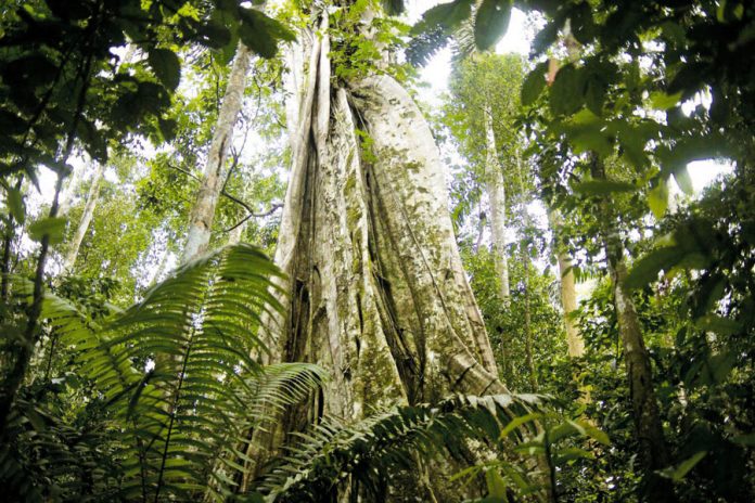 Áreas Naturales Protegidas