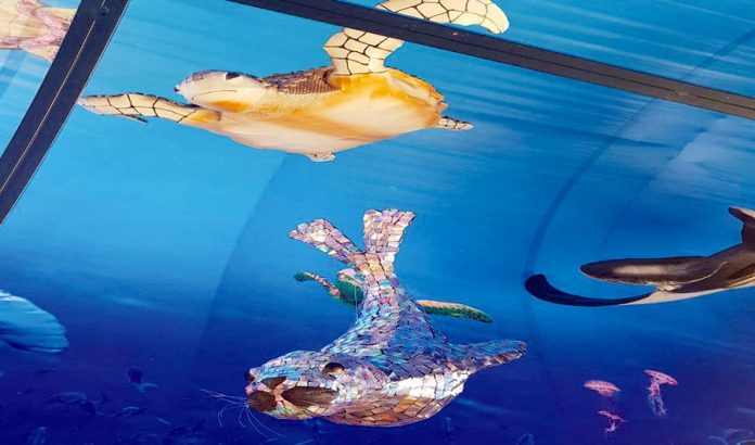 Acuario hecho con material reciclado