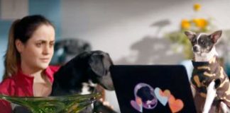 De Patitas a la Calle