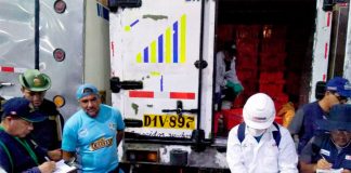 Decomisan 3.9 toneladas de caballa juvenil en terminal