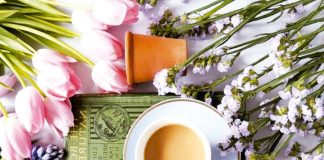 Flores propiedades curativas