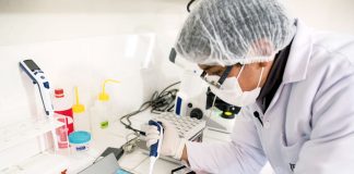 Fondo Nacional de Desarrollo Científico, Tecnológico y de Innovación Tecnológica