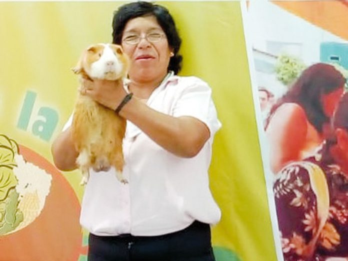 Ing Zoot. Yuli Vilma Villanueva Quispe