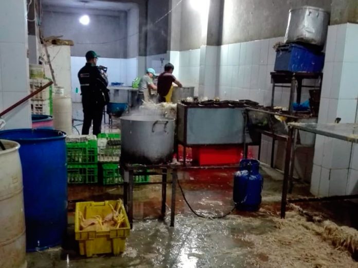 Intervienen local donde comercializaban pollos en pésimas condiciones