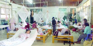 Dengue acaba con vida de 25 peruanos