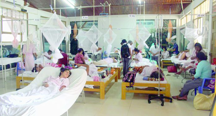 Dengue acaba con vida de 25 peruanos