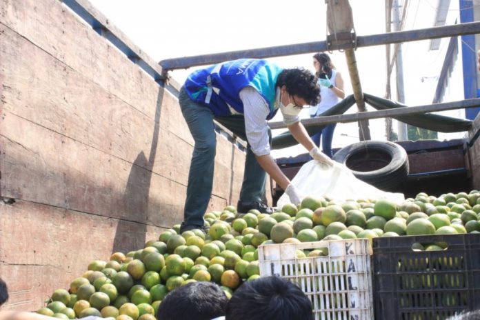 Distribución de naranjas