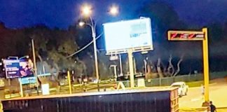 Contenedor de camión cayó en óvalo Contenedor de camión cayó en óvalo