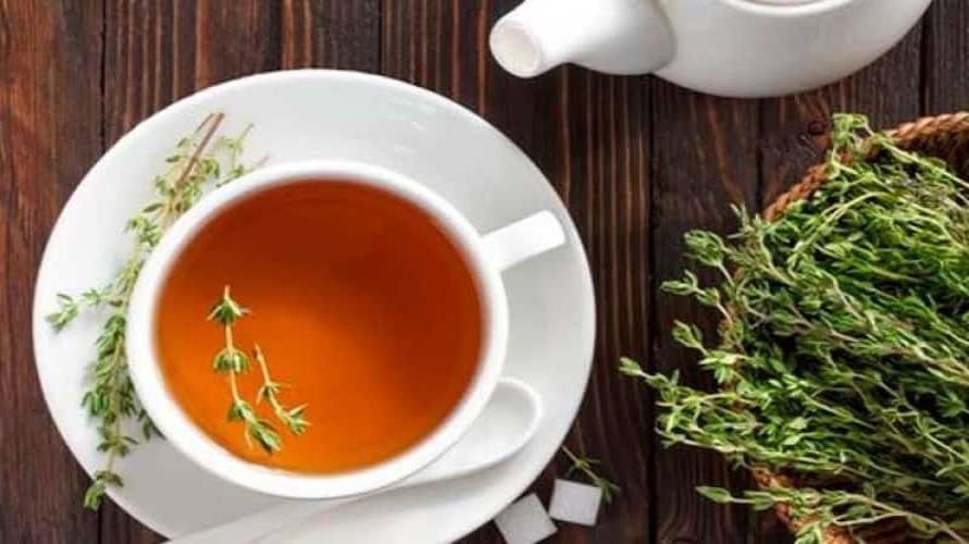 Infusión de orégano