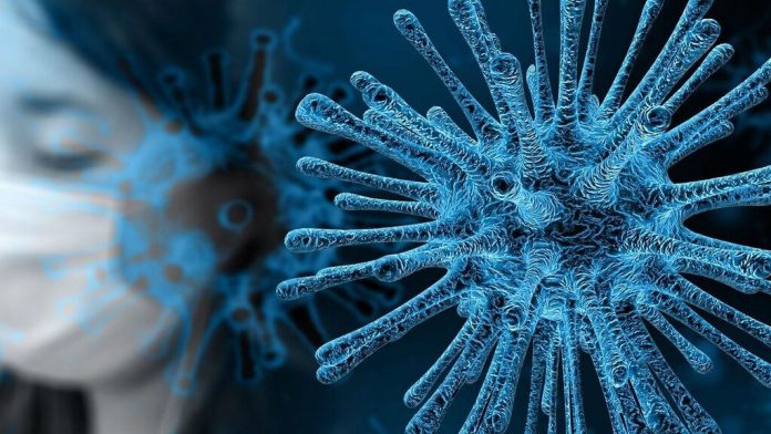 ¿Qué es el coronavirus?