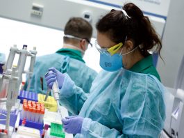Vacunas en humanos contra COVID-19