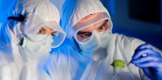 Alemania: Temen segunda ola de la pandemia Coronavirus