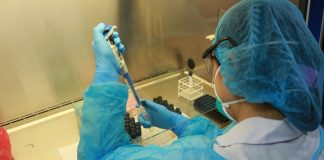 532 detectados con coronavirus gracias a pruebas rápidas