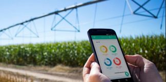 telefonía e internet