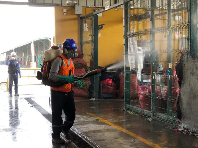 Fumigación en el gran mercado mayorista de Lima