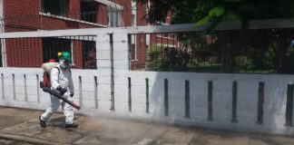 Desinfección en avenidas