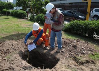 Suelos de Lima son hasta 90 % menos ruidosos