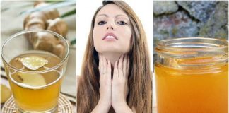 Infusiones