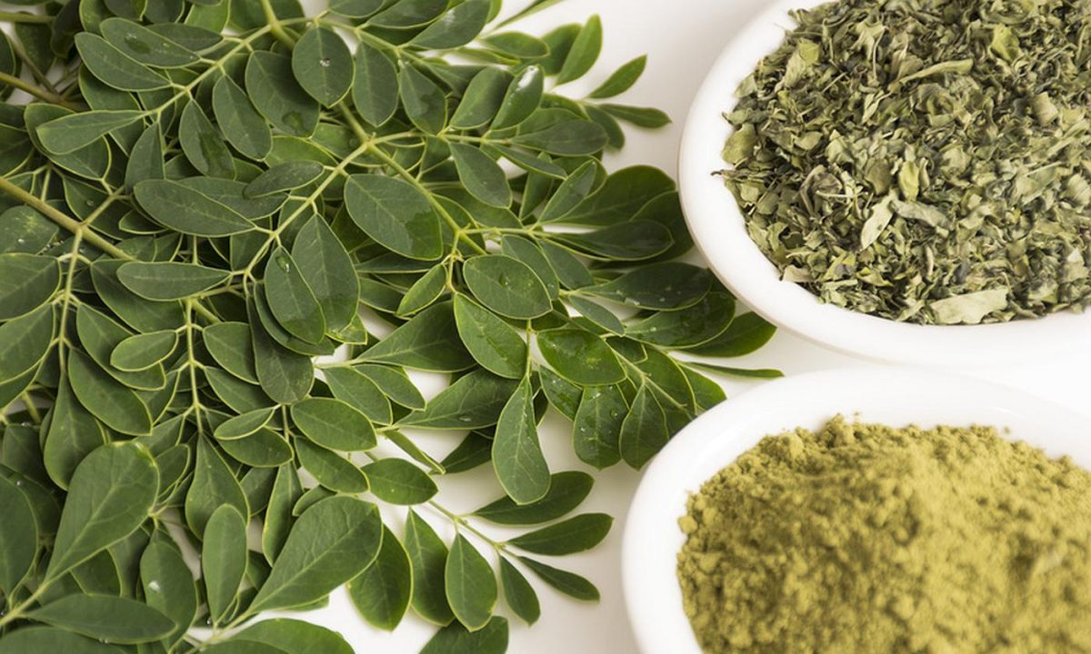 Hojas de moringa