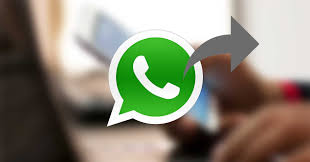 WhatsApp reenvio