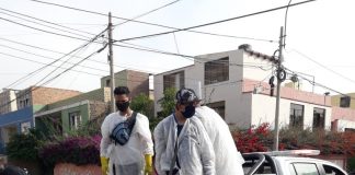 Ofrecían servicio de desinfección para hacer de las suyas