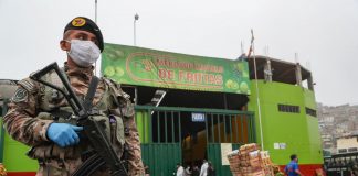 Mercado Modelo de Frutas