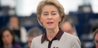 Piden a países de zona Schengen levantar controles fronterizos