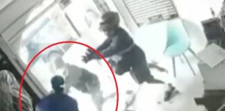 Veterinario frustró asalto de su establecimiento