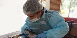 Alimentos hidrobiológicos