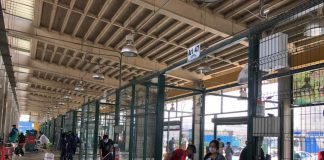 Mercado Mayorista