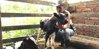 productores pecuarios