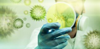 Variante D614G del SARS-CoV-2